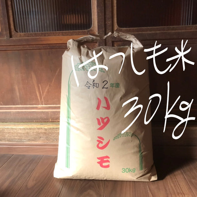 お米 岐阜県産ハツシモ 玄米３０ｋｇ 送料込み 消費税込み | 寿司 