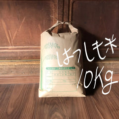 お米　岐阜県産ハツシモ　白米１０ｋｇ　送料込み 消費税込み