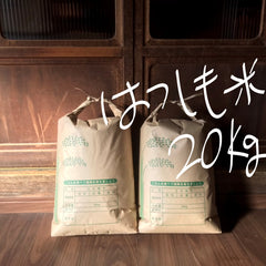 お米　岐阜県産ハツシモ　白米２０ｋｇ　送料込み 消費税込み