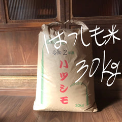 お米　岐阜県産ハツシモ　玄米３０ｋｇ　送料込み 消費税込み